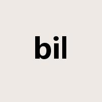 bil是什么意思