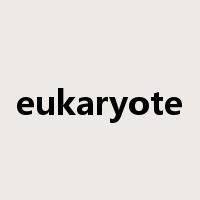 eukaryote是什么意思