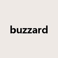 buzzard是什么意思