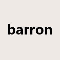 barron是什么意思