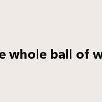 the whole ball of wax是什么意思
