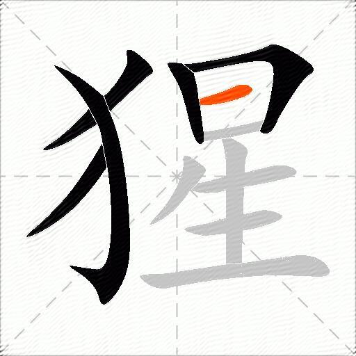 猩