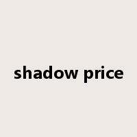 shadow price是什么意思