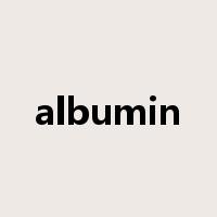 albumin是什么意思