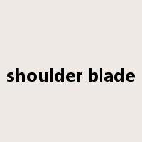 shoulder blade是什么意思