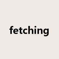 fetching是什么意思