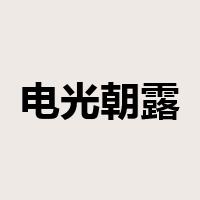 电光朝露是什么意思
