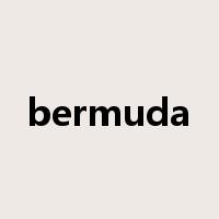 bermuda是什么意思