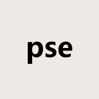 pse是什么意思