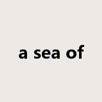 a sea of是什么意思