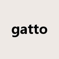 gatto是什么意思
