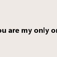 you are my only one是什么意思