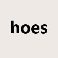 hoes是什么意思