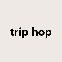 trip hop是什么意思
