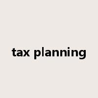 tax planning是什么意思