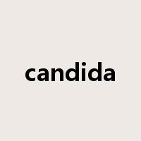 candida是什么意思