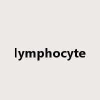 lymphocyte是什么意思