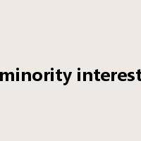 minority interest是什么意思