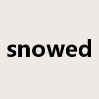 snowed是什么意思