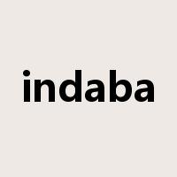 indaba是什么意思
