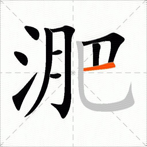 淝