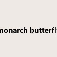 monarch butterfly是什么意思