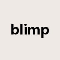 blimp是什么意思