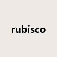 rubisco是什么意思