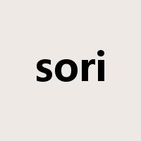 sori是什么意思