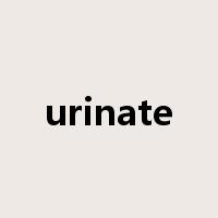 urinate是什么意思