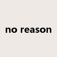 no reason是什么意思