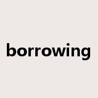 borrowing是什么意思