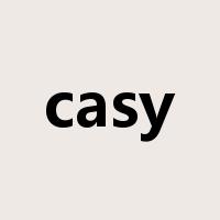 casy是什么意思