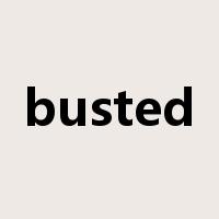 busted是什么意思