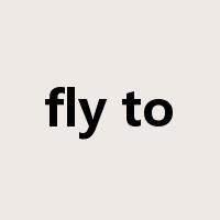 fly to是什么意思