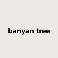 banyan tree是什么意思