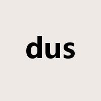 dus是什么意思