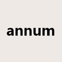 annum是什么意思