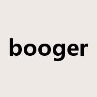 booger是什么意思