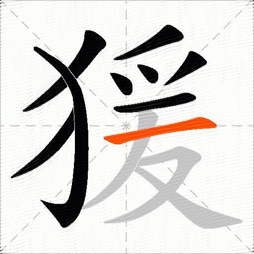 猨