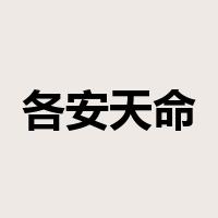 各安天命是什么意思