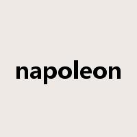 napoleon是什么意思