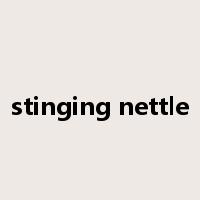 stinging nettle是什么意思