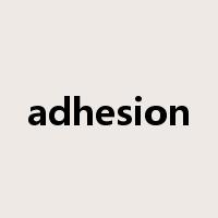 adhesion是什么意思