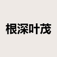 根深叶茂是什么意思