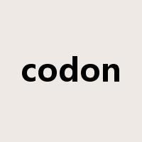 codon是什么意思