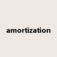 amortization是什么意思
