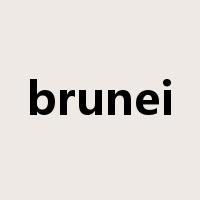 brunei是什么意思