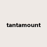 tantamount是什么意思