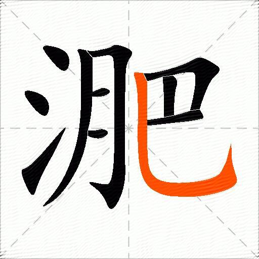 淝